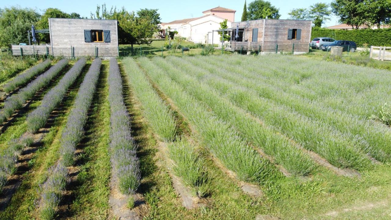 Domaine D'Elusa Vic-Fezensac Buitenkant foto