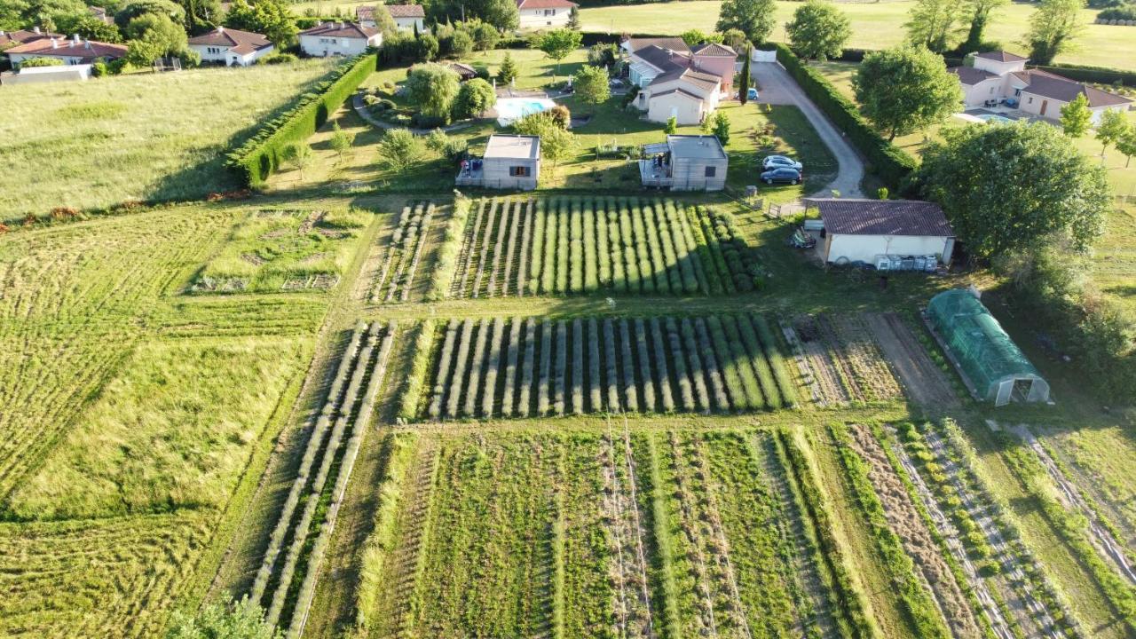 Domaine D'Elusa Vic-Fezensac Buitenkant foto