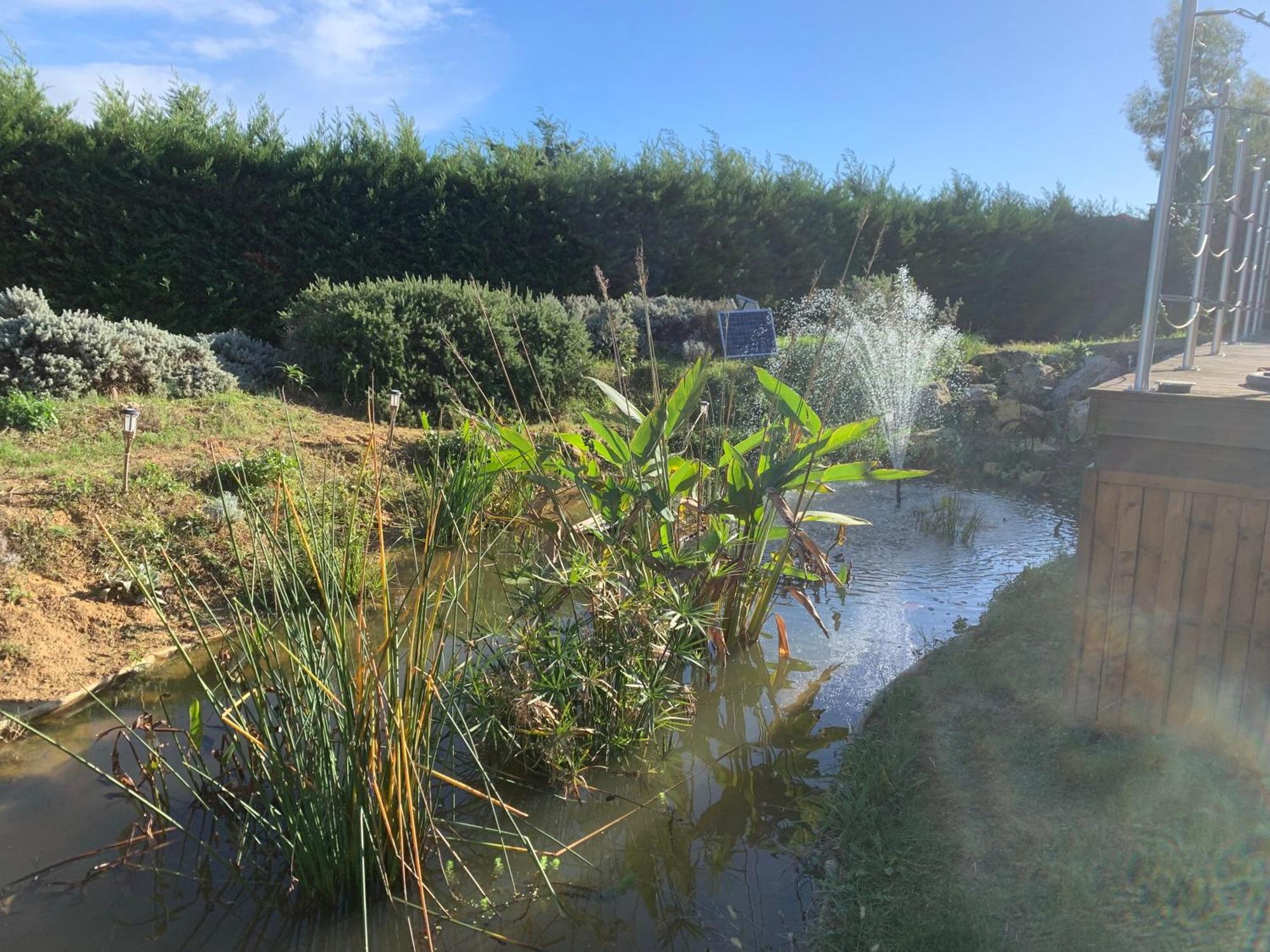 Domaine D'Elusa Vic-Fezensac Buitenkant foto
